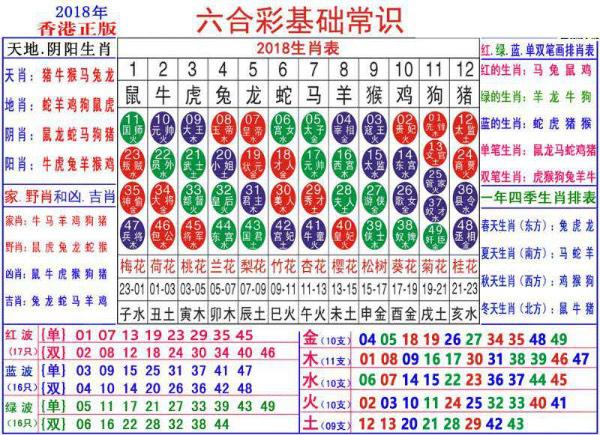 澳门正版资料大全资料生肖卡|精选资料解释大全