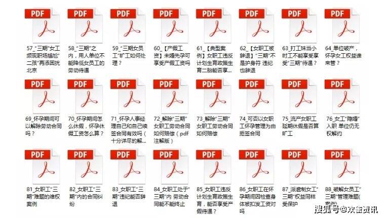 新澳门一码一肖一特一中2024|精选资料解释大全